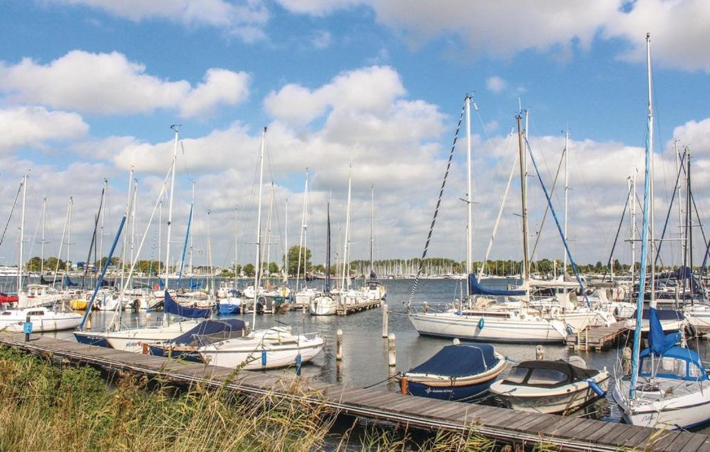 Vakantiewoning Aan Het Veerse Meer Wolphaartsdijk Ngoại thất bức ảnh
